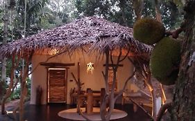 Ella Retreat Hotel Villa For Nature Lovers